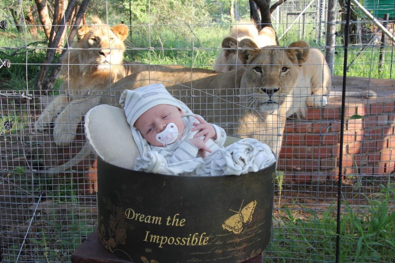 Simba Safaris African Pride Exotic Lodge Lephalale Exterior photo
