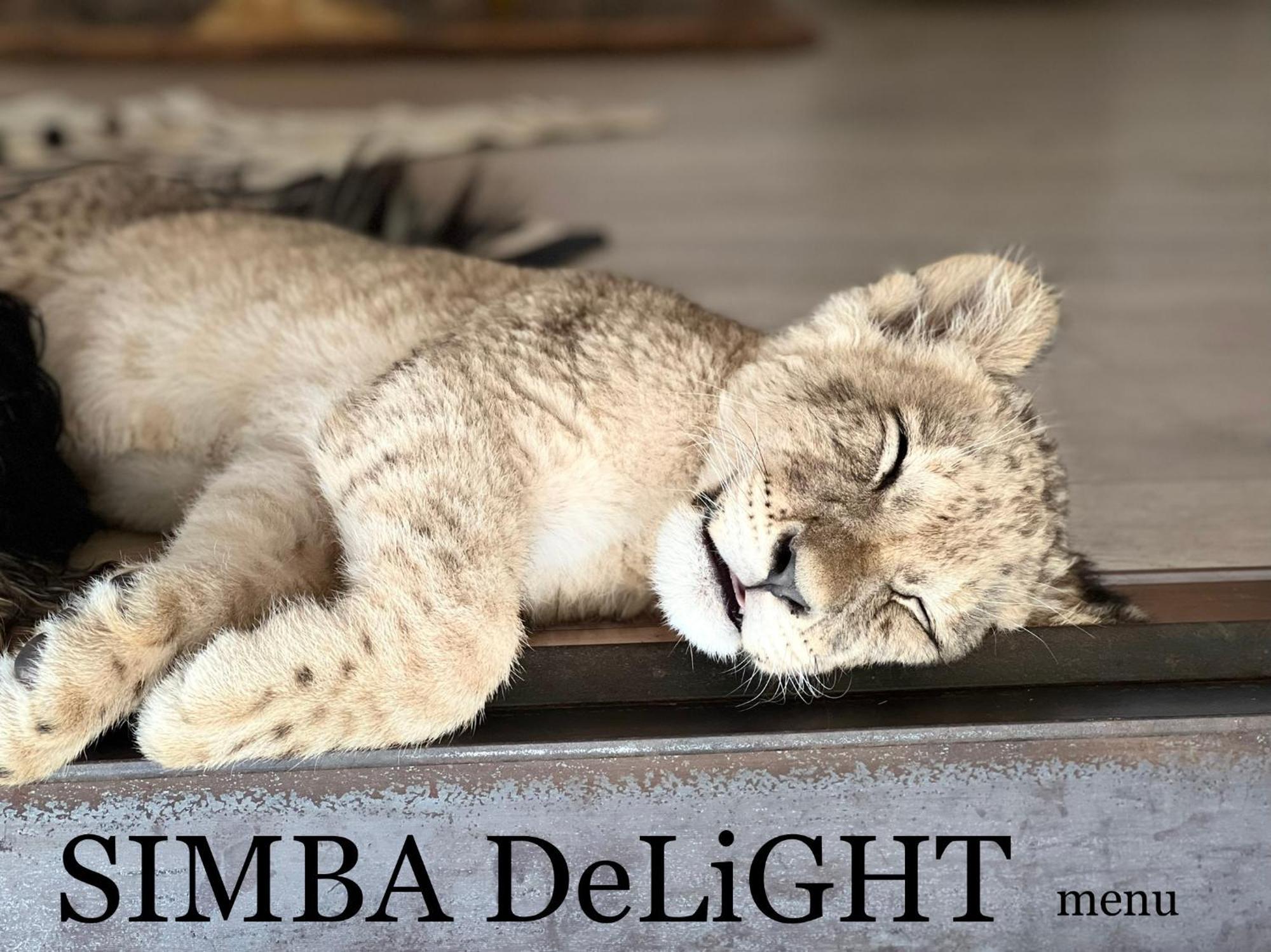 Simba Safaris African Pride Exotic Lodge Lephalale Exterior photo