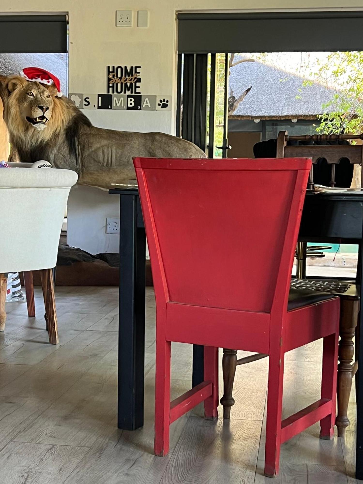 Simba Safaris African Pride Exotic Lodge Lephalale Exterior photo